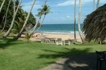 Tambora Beach Suites لاس تاريناس المظهر الخارجي الصورة